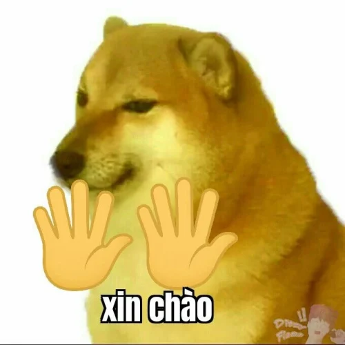 Meme ngại 50