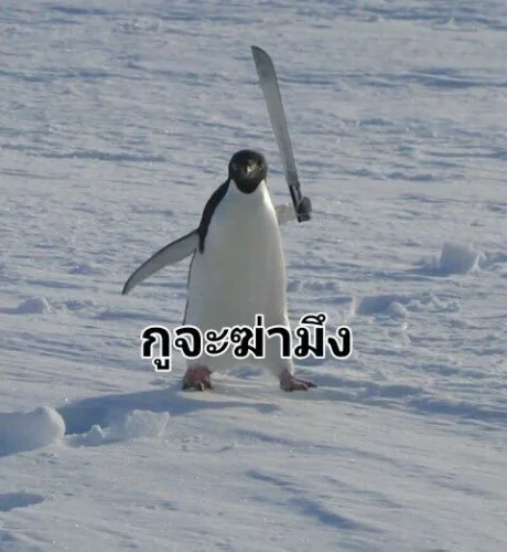Meme ngại 8