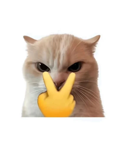 Meme ngại 24
