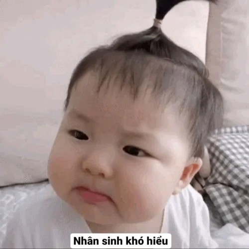 Meme ngơ ngác 48