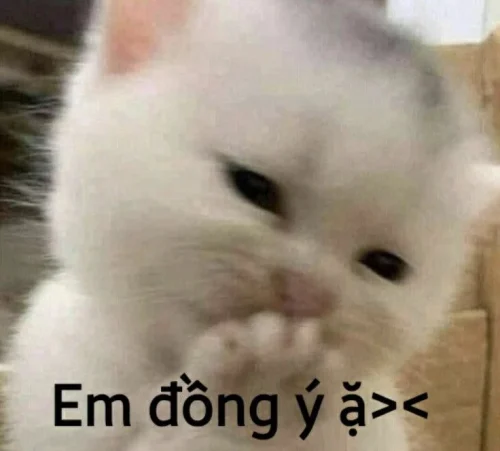 Meme ngơ ngác 58