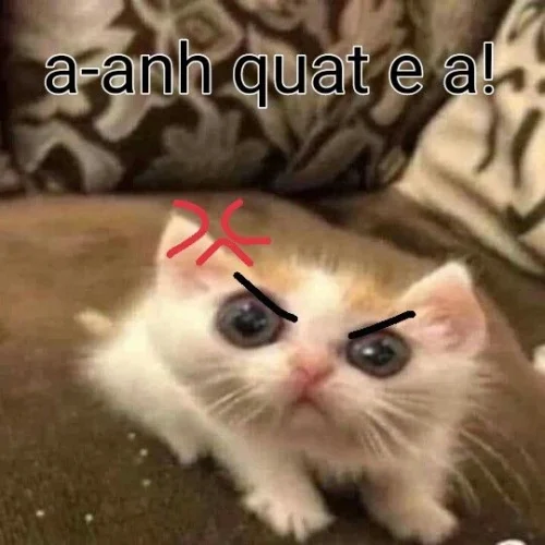 Meme ngơ ngác 1