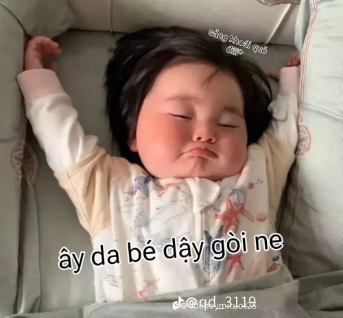 Meme ngủ 7