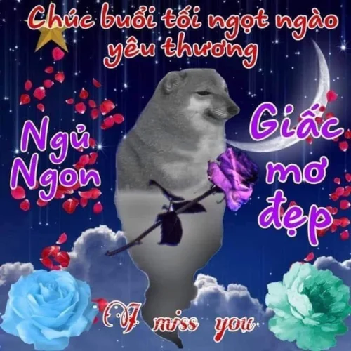 Meme ngủ 9