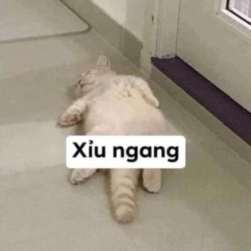Meme ngủ 10