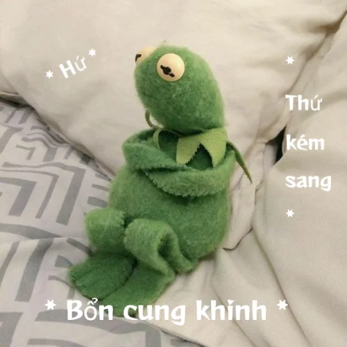 Meme ngủ 12