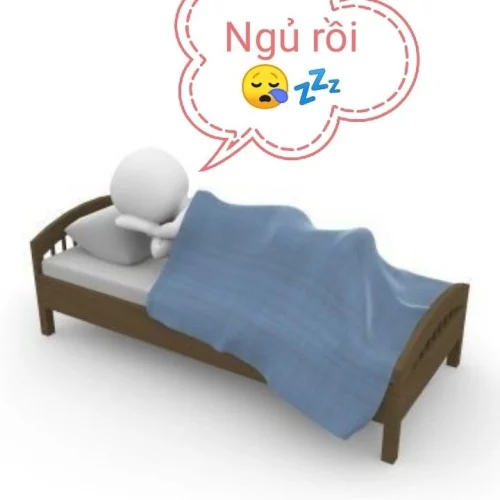 Meme ngủ 14