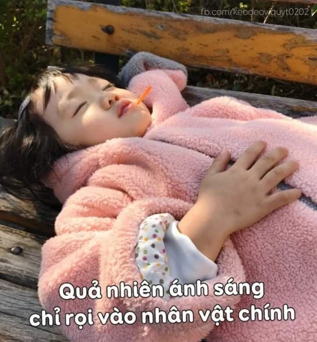 Meme ngủ 16