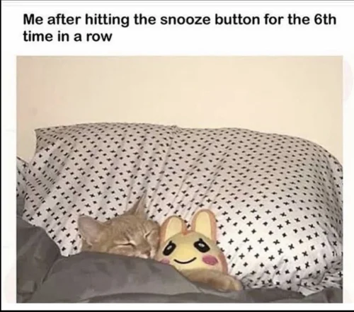 Meme ngủ 19