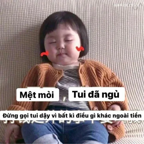 Meme ngủ 20
