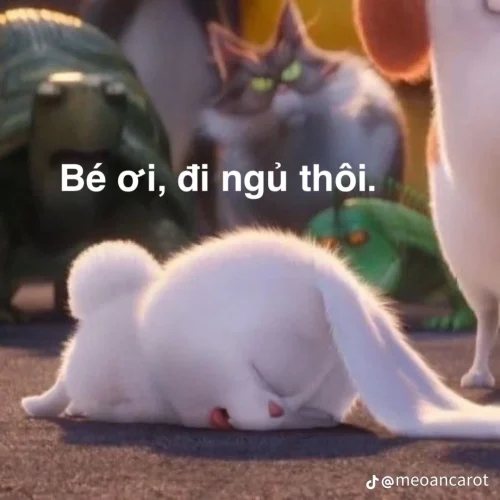 Meme ngủ 23