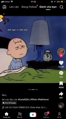 Meme ngủ 24
