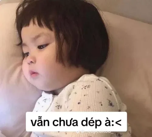Meme ngủ 25