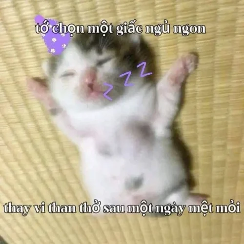 Meme ngủ 26