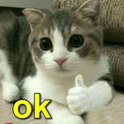Meme OK 13