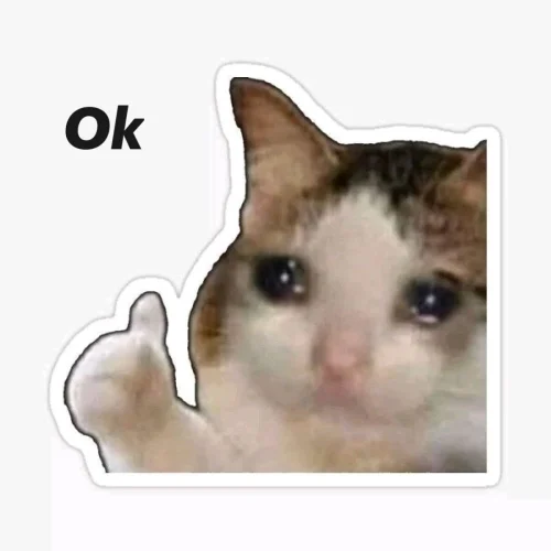 Meme OK 18