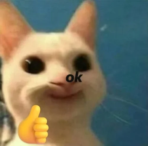 Meme OK 19