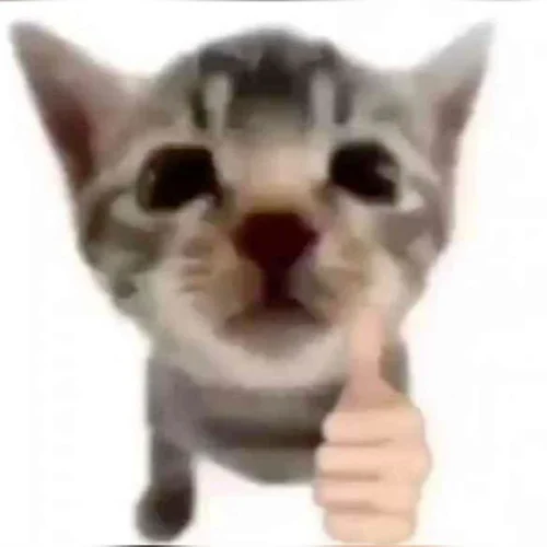Meme OK 28