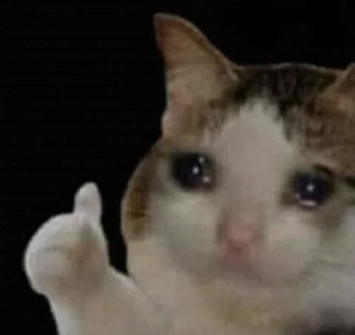 Meme OK 37