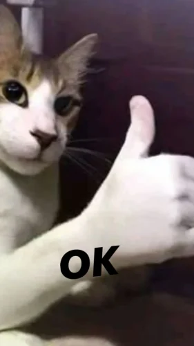 Meme OK 59