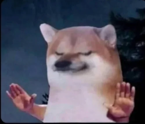 Meme OK 1