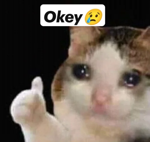 Meme OK 4