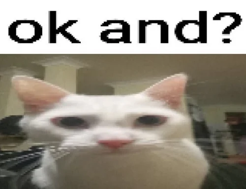Meme OK 19