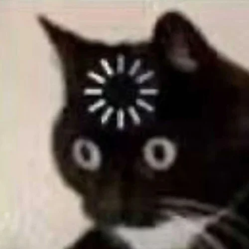 Meme OK 29