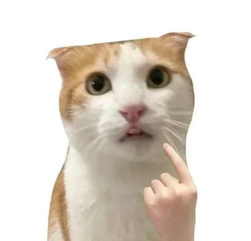 Meme OK 32