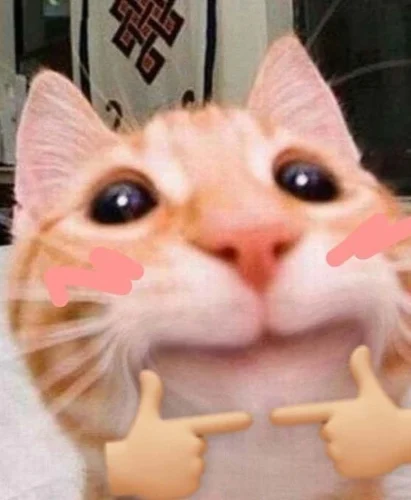 Meme OK 42