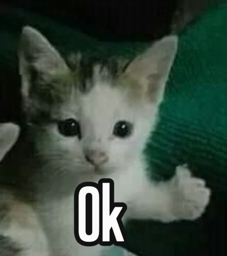 Meme OK 45