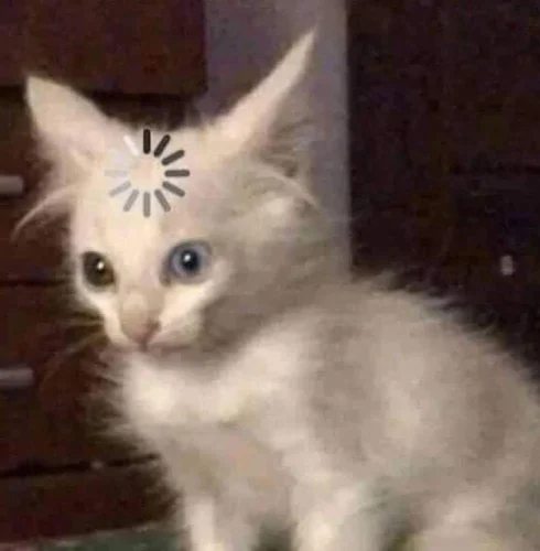Meme OK 48