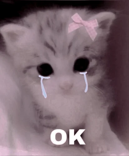 Meme OK 9