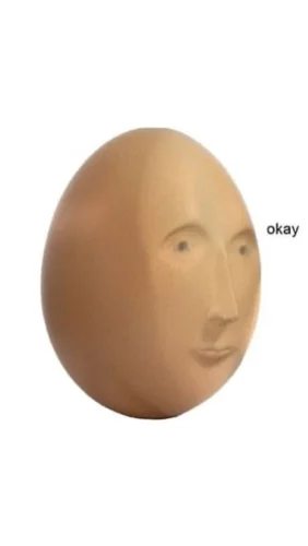 Meme OK 11