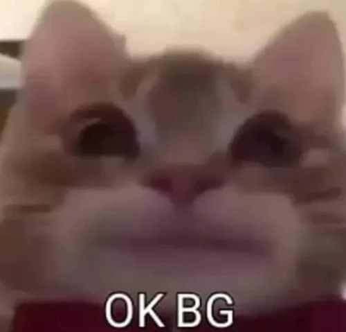 Meme OK 14
