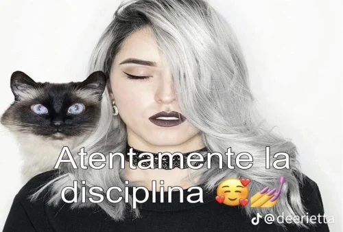 Meme OK 27