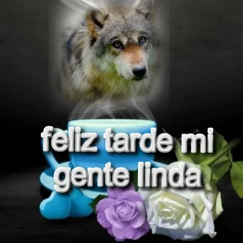 Meme OK 30