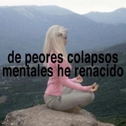 Meme OK 32