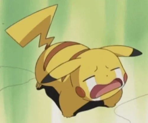 Meme Pikachu 15