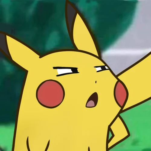 Meme Pikachu 20