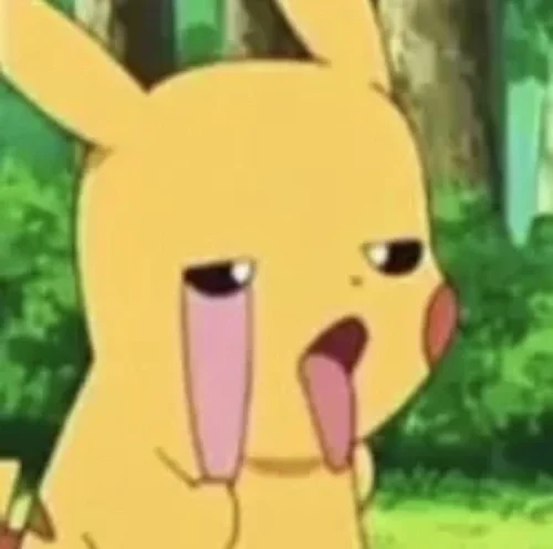 Meme Pikachu 22