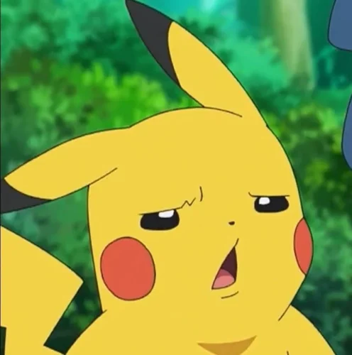 Meme Pikachu 33