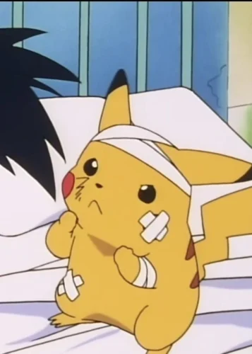 Meme Pikachu 44