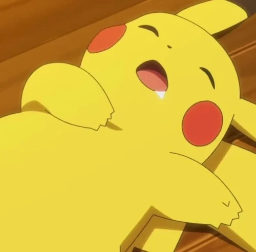 Meme Pikachu 46
