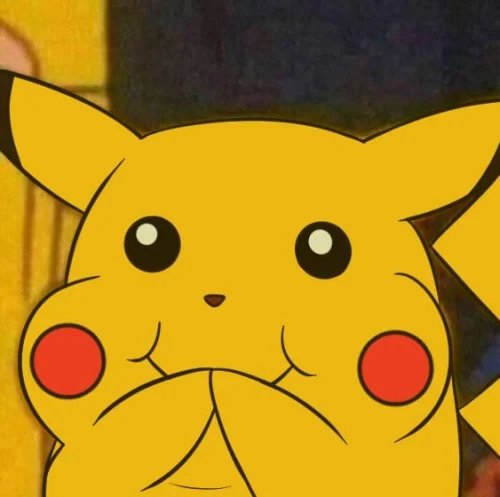Meme Pikachu 8