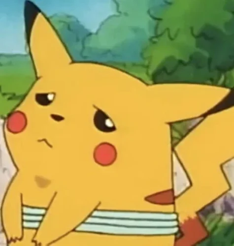Meme Pikachu 11