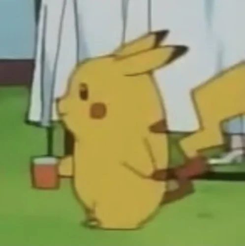 Meme Pikachu 13