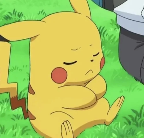 Meme Pikachu 18