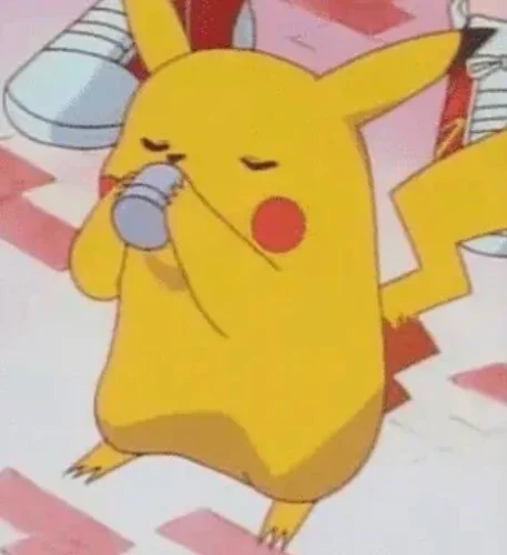Meme Pikachu 24