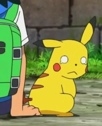 Meme Pikachu 27